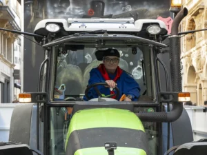 Waageclique Rhywälle Basel 1991