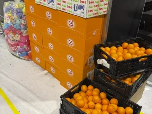 Waageclique Rhywälle Basel 1991